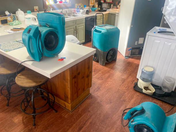 Carpet water damage restoration in Tell City, IN