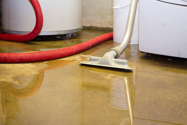 Best Ceiling water damage repair  in Tell City, IN